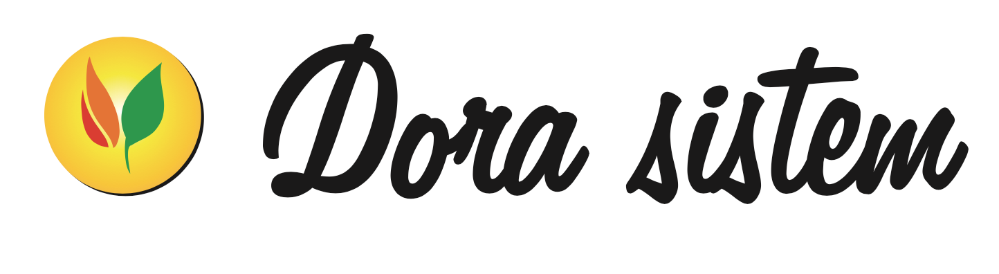 dora sistem logo